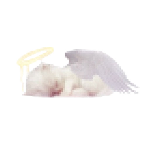 Cat Angel