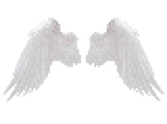 Wings